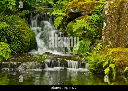 Détail, Heavenly Falls, étang, promenades, Jardin Jardin japonais de Portland, Portland, USA Banque D'Images