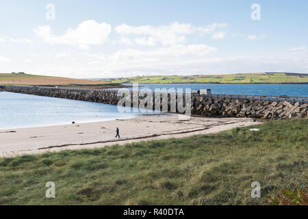 Homme marchant sur la plage près d'aucune barrière Churchill 3 Causeway, qui relie les îles de Glimps Holm et Burray, , les Orcades, Ecosse, Royaume-Uni Banque D'Images