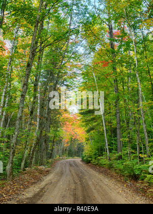 Michigan, Hiawatha National Forest, route avec des arbres dans la couleur de l'automne Banque D'Images