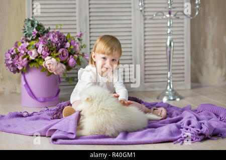 Portrait de blond bébé fille jouant avec husky poppy.Model girl with red hair posing in studio shoot avec Sammy chiot blanc tandis que se trouvent sur plancher en bois Banque D'Images