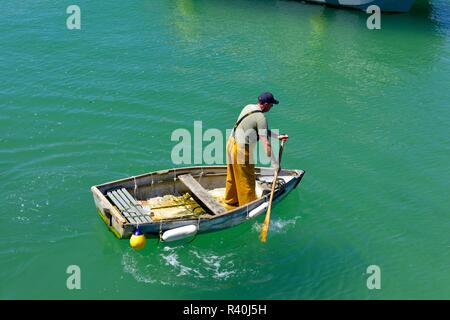 Fisherman standing up Paddling un petit bateau à rames à travers le port de St Ives, Cornwall, Angleterre, Royaume-Uni Banque D'Images