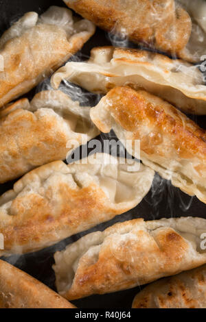 Close up fried dumpling en plat de cuisson Banque D'Images