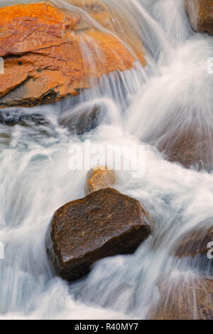 Cascades, qui coule à l'Ouest à la terre de la Petite Rivière Pigeon, Great Smoky Mountains National Park, Texas Banque D'Images