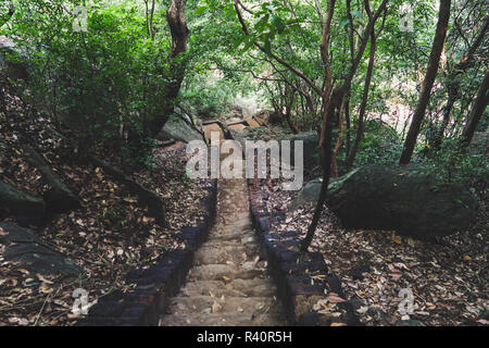 Escalier de la forêt au Sri Lanka. En descendant de l'Pidurangala Banque D'Images