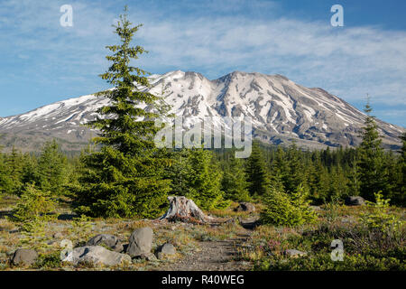 L'État de Washington, Mont Saint Helens Monument Volcanique National, le Mont Saint Helens, vue depuis le sud Banque D'Images