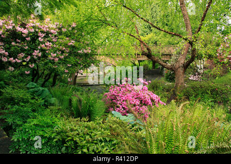 Usa (Oregon, Portland. Crystal Springs Rhododendron jardin pittoresque. En tant que crédit : Steve Terrill / Jaynes Gallery / DanitaDelimont.com Banque D'Images