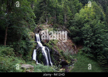 Cascades de Triberg Banque D'Images