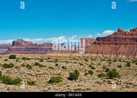 USA, Utah, Green River, San Rafael de corail. Spotted Wolf Canyon Banque D'Images