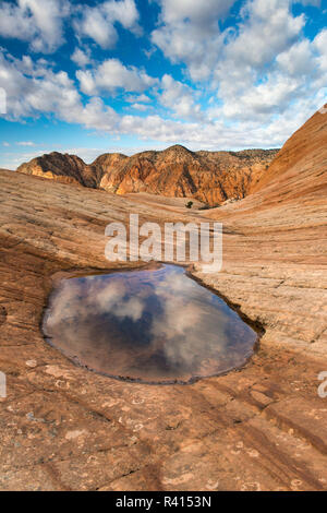 Falaises de grès Rock Candy, près de Saint George, Utah Banque D'Images