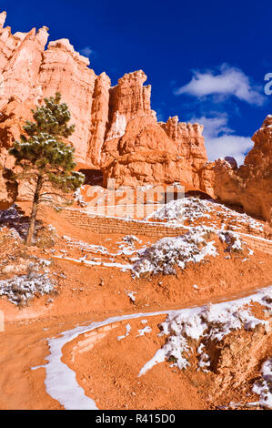 Lacets et de formations rocheuses le long de la Queens Garden Trail, Bryce Canyon National Park, Utah, USA Banque D'Images