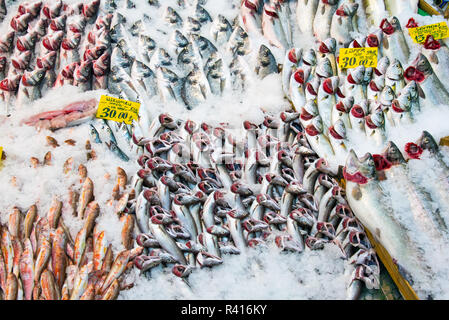 Grand choix de poissons sur un marché à Istanbul Banque D'Images