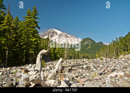 Le Mont Rainier, bois flotté, Région de la rivière Nisqually, Mount Rainier National Park, Washington State, USA Banque D'Images