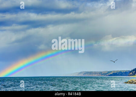 Arc-en-ciel photographié à partir de dynamiques Brackett's Landing à côté d'Edmonds Ferry, Ville d'Edmonds, Washington State Banque D'Images