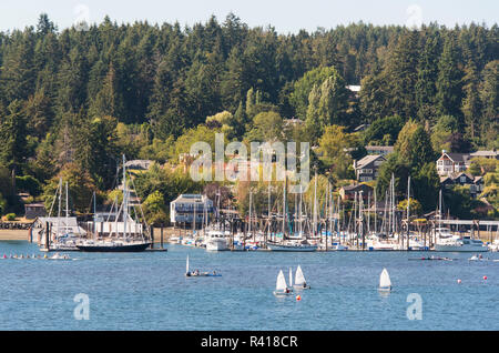 L'État de Washington, USA, Bainbridge Island. La voile et l'équipage d'été leçon pratique Eagle Harbor Banque D'Images