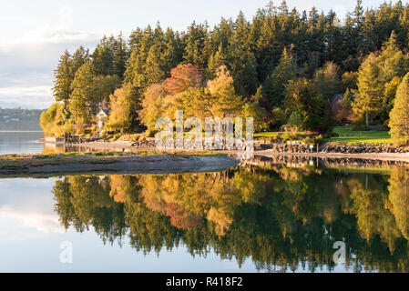 L'État de Washington, USA, Bainbridge Island. La couleur de l'automne reflète dans l'eau calme Banque D'Images