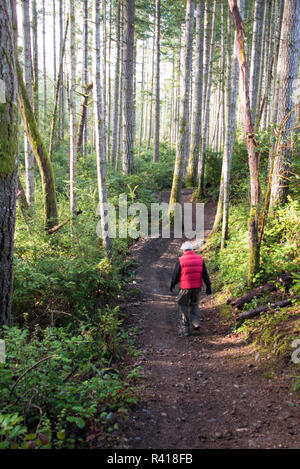 L'État de Washington, USA, Randonneur sur Wildcat Trail Green Mountain National Forest Kitsap Comté. (MR) Banque D'Images