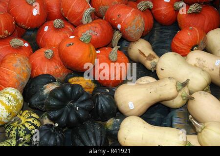 Divers citrouilles sur un étal du marché en étroite Banque D'Images