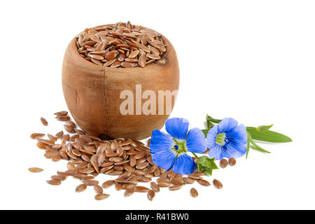 Fleur de chicorée et poudre de chicorée instantanée dans bol en bois isolé sur un fond blanc. Cichorium intybus Banque D'Images