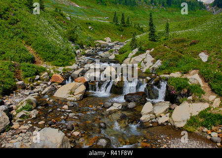 USA, l'État de Washington, Mount Rainier National Park. Edith Creek en cascade sur les rochers. Banque D'Images