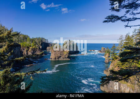 Cove et piles de la mer à Cap Flattery près de Neah Bay, Washington State, USA Banque D'Images