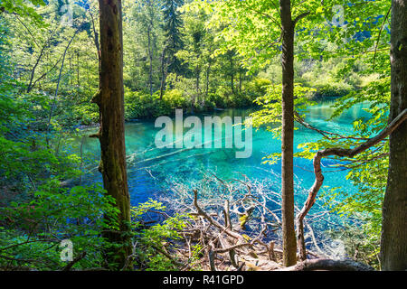 Le parc national des Lacs de Plitvice Banque D'Images