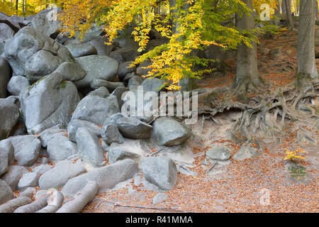 Felsenmeer im odenwald en automne Banque D'Images