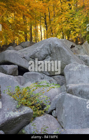 Rock sea dans l'Odenwald à l'automne Banque D'Images