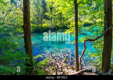 Le parc national des Lacs de Plitvice Banque D'Images