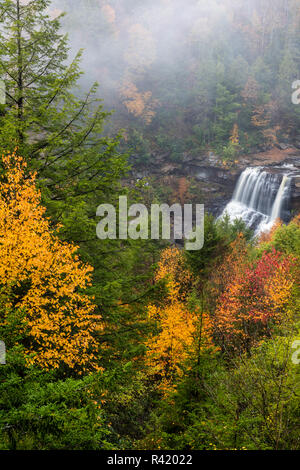 Chutes de Blackwater à l'automne dans la région de Blackwater Falls State Park à Davis, West Virginia, USA Banque D'Images