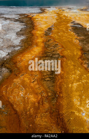 USA, Wyoming. Lignes abstraites de run-off thermique de Black Pool à West Thumb geyser, le Parc National de Yellowstone. Banque D'Images