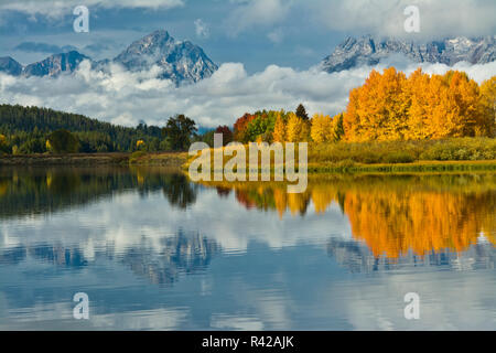 Jour nuageux à l'automne, d'Oxbow, Grand Teton National Park, Wyoming, USA Banque D'Images