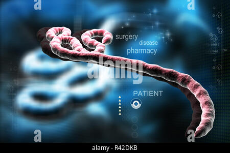 Virus Ebola Banque D'Images