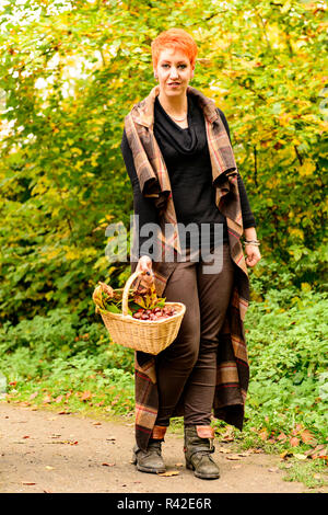 Femme recueille des châtaignes en automne Banque D'Images