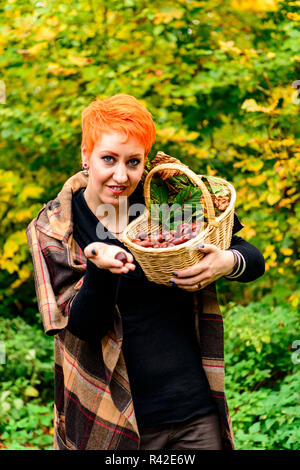 Femme recueille des châtaignes en automne Banque D'Images