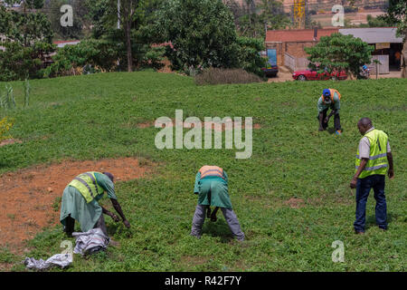 KIGALI, RWANDA - octobre 23,2017 Kiyovu : quatre jardiniers locaux prendre soin de la pelouse entre deux grands immeubles de bureaux sur KN 3 Road. Banque D'Images