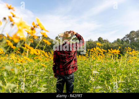 Les agriculteurs inspecter les fleurs d'été ensoleillé ferme. Banque D'Images