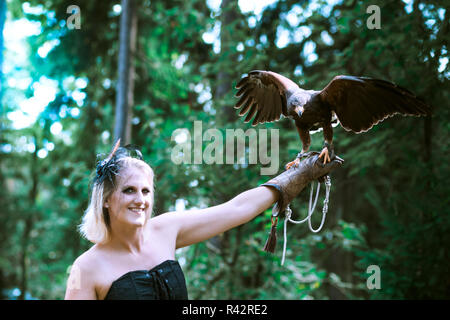 La dame avec le harris hawk Banque D'Images