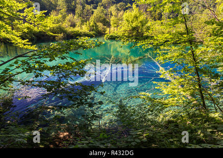 Le parc national des Lacs de Plitvice Banque D'Images