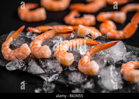 Crevettes fraîches Banque D'Images