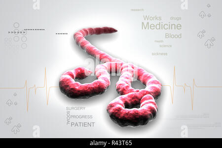 Virus Ebola Banque D'Images