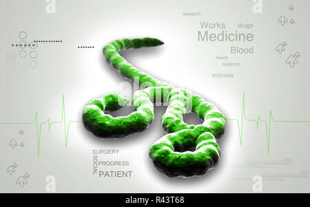 Virus Ebola Banque D'Images