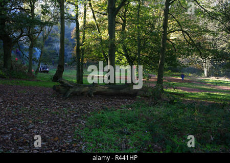 Kinver Edge, Staffordshire, Royaume-Uni Banque D'Images