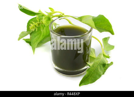 L'eau de jus de légumes herbes vert / vert légumes feuilles de basilic herbes extrait à l'eau dans le verre sain isolé sur fond blanc Banque D'Images