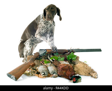 Jeux de chasse et de chien Banque D'Images