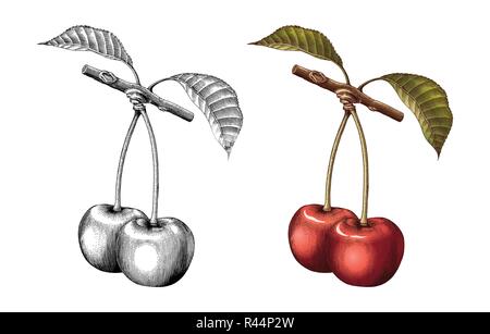 Cherry dessin gravure illustration vintage noir et blanc avec couleur de remplissage Illustration de Vecteur