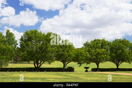 Un vignoble de la vallée de Swan à côté de la rivière Swan, Perth, Australie occidentale Banque D'Images