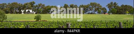 Un vignoble de la vallée de Swan à côté de la rivière Swan, Perth, Australie occidentale Banque D'Images
