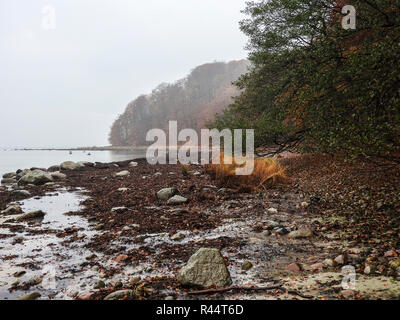 La plage de galets de binz sur rÃ¼gen Banque D'Images