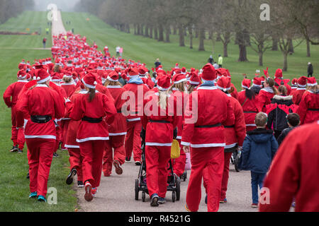 Windsor, Royaume-Uni. 25 novembre, 2018. Porteur habillé en père Noël et ses rennes prendre part au 2018 Santa Dash dans l'aide de l'Alexander Devine Children's Hospice sur la longue promenade à Windsor Great Park. Credit : Mark Kerrison/Alamy Live News Banque D'Images