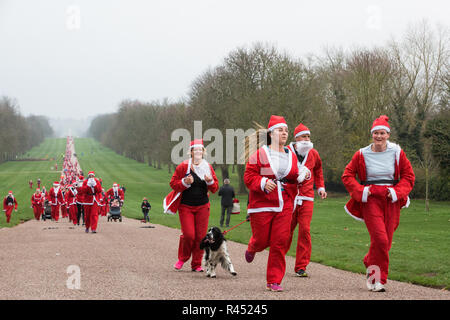 Windsor, Royaume-Uni. 25 novembre, 2018. Porteur habillé en père Noël et ses rennes prendre part au 2018 Santa Dash dans l'aide de l'Alexander Devine Children's Hospice sur la longue promenade à Windsor Great Park. Credit : Mark Kerrison/Alamy Live News Banque D'Images